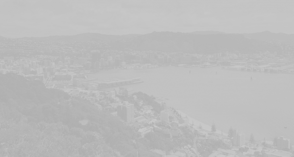 View of Wellington Harbour