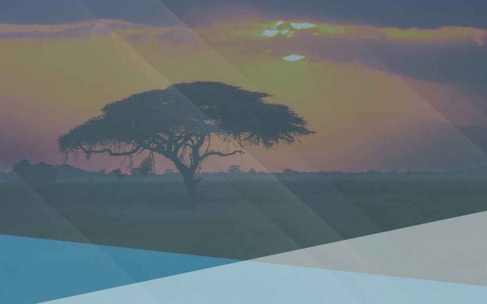 Silhouette of great tree in the sunset of African plains